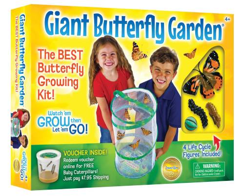 Giant Butterfly Garden